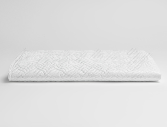 محافظ تشک رویا