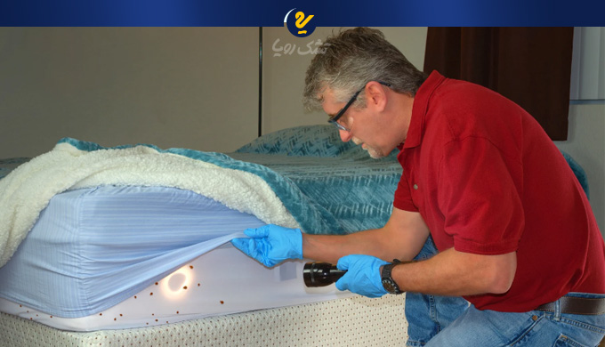 از بین بردن ساس در تشک