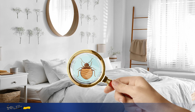 ساس در تشک تخت